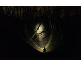 Armytek Flashlights Bear WRG - Beowald Store